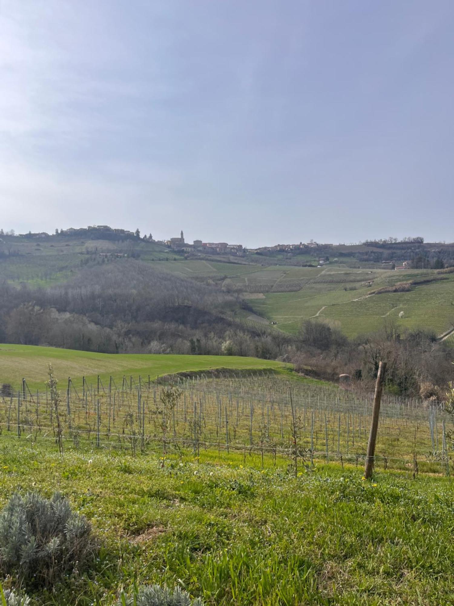 Le Cornici - Cascina Di Charme Hotel ดิอาโนดัลบา ภายนอก รูปภาพ