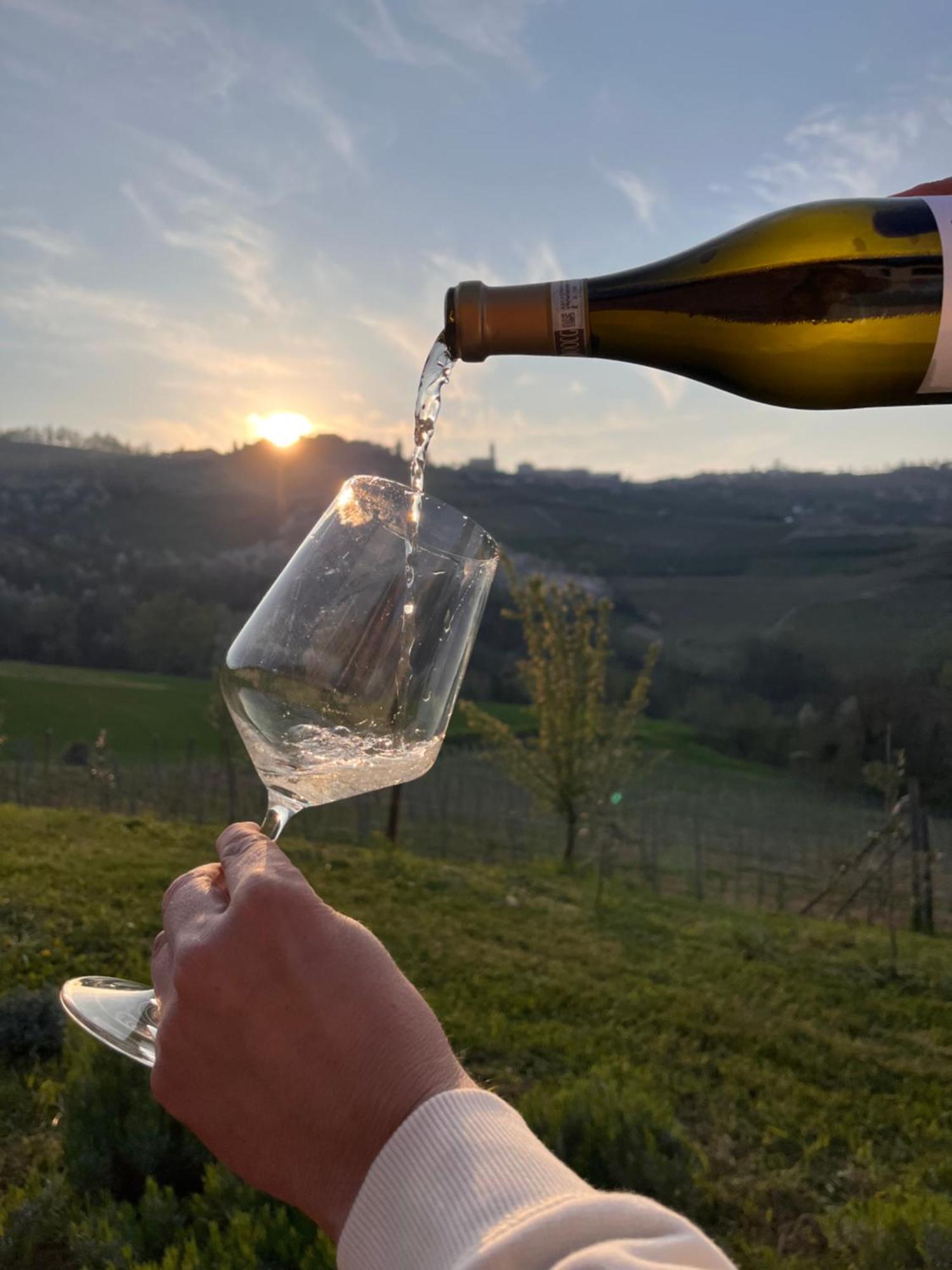 Le Cornici - Cascina Di Charme Hotel ดิอาโนดัลบา ภายนอก รูปภาพ